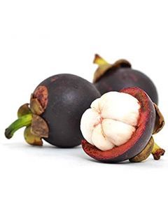 Mangosteen