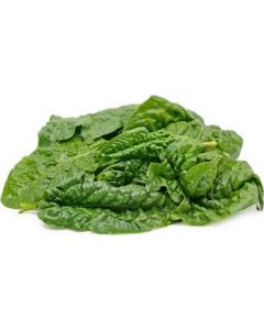 Bloomsdale Spinach